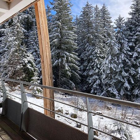 Studio Chamrousse 1700 Pour 4 Personnes - Au Calme - Avec Wifi المظهر الخارجي الصورة