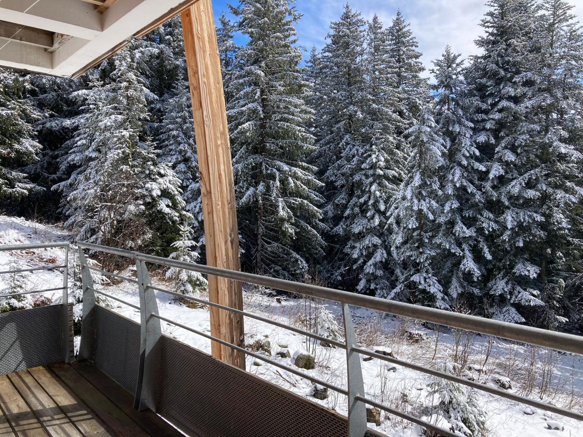 Studio Chamrousse 1700 Pour 4 Personnes - Au Calme - Avec Wifi المظهر الخارجي الصورة